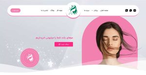 نمونه کار طراحی وبسایت